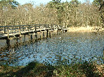 wp1e8322b0_0f.jpg