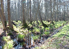 wp5c814265_0f.jpg