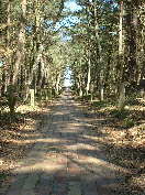 wp6086f708_0f.jpg