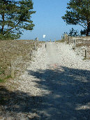 wpb7b37643_0f.jpg